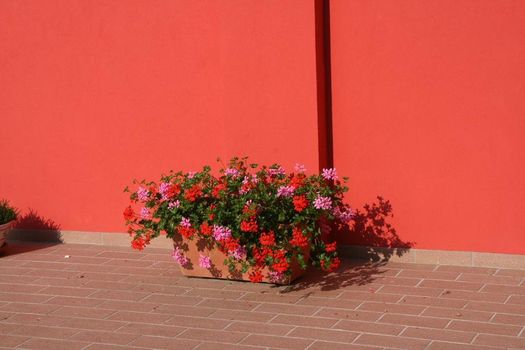 شقة Dolce Casa مارغيرا المظهر الخارجي الصورة